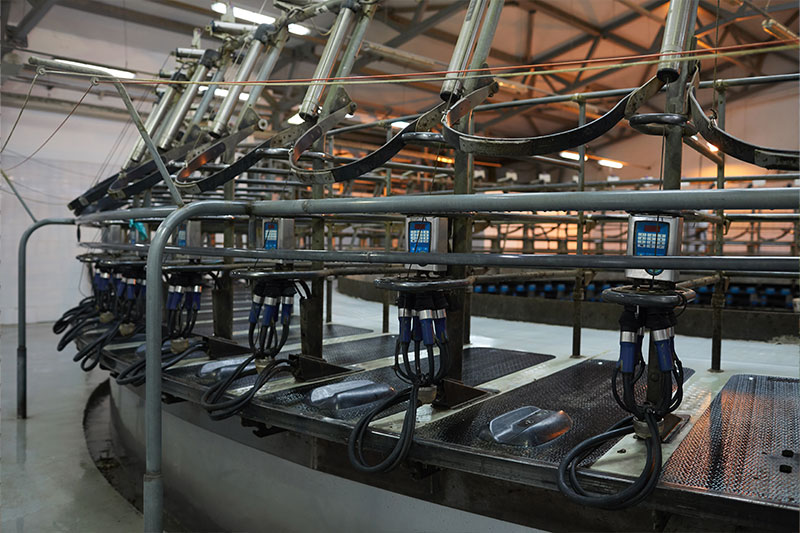 Electricians in Bridport | Certified NICEIC Electrical Services gallery image 3