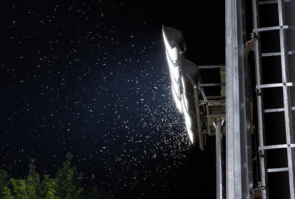 flood lights on farm